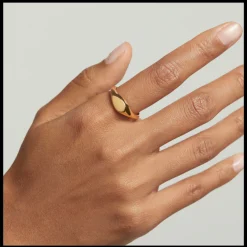 Anel Devi Stamp Dourado-PDPAOLA Store
