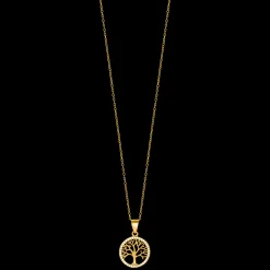 Caia-Joanli Nor Fashion