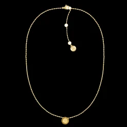 Colar Aco Dourado E Cristais-Tommy Hilfiger Jewelry Cheap