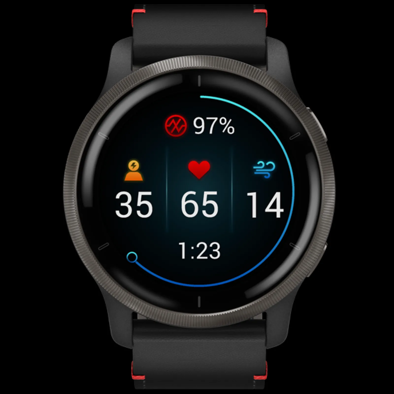 Smartwatch Venu 2 Black / Slate Leather-Garmin Fashion